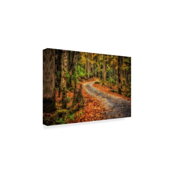 Galloimages Online 'Path In Greenbrier Watercolor' Canvas Art,16x24